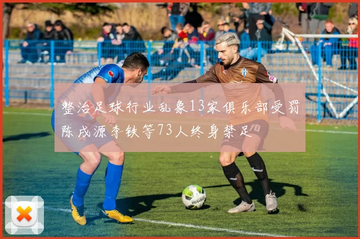 整治足球行业乱象13家俱乐部受罚陈戌源李铁等73人终身禁足