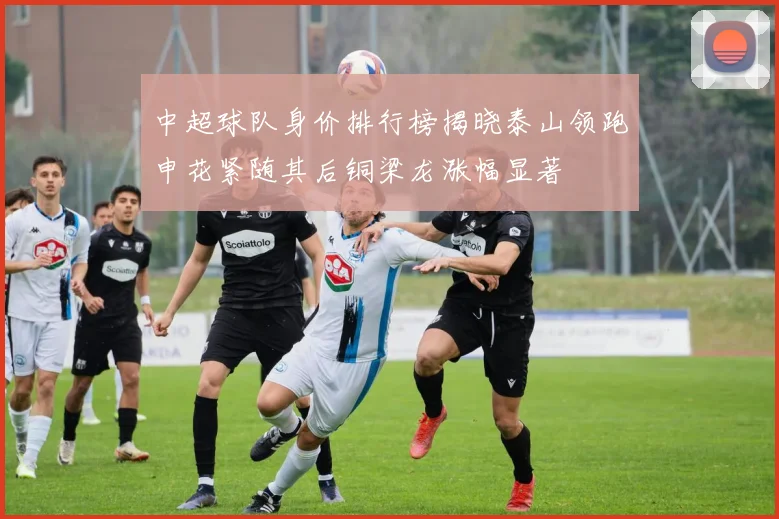 中超球队身价排行榜揭晓泰山领跑申花紧随其后铜梁龙涨幅显著